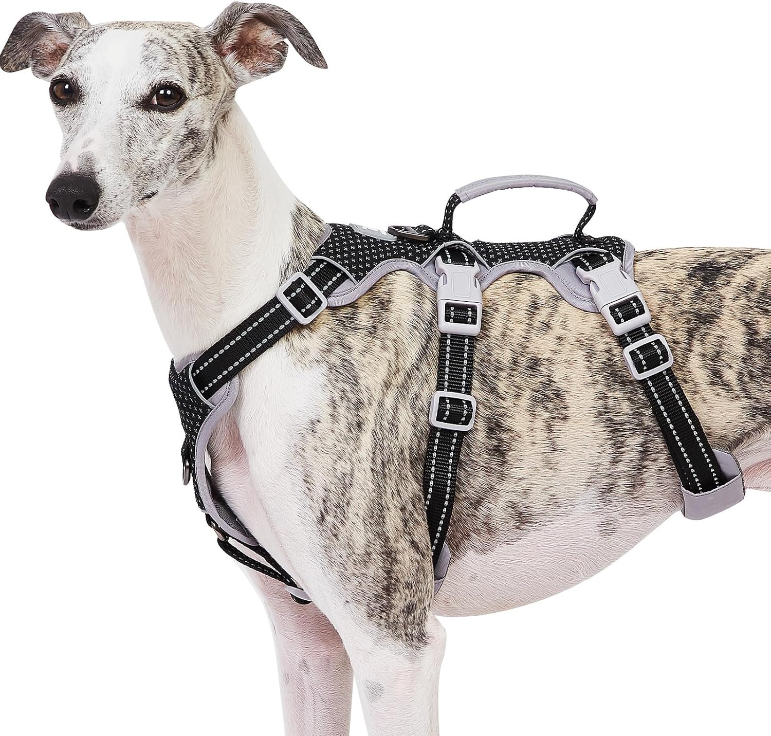Huntboo Escape Proof Dog Harness, No Pull Reflective Harness with Lift Handle, Adjustable Pet Vest with Front and Back Leash Clips for Small Medium Large Dogs Walking Hiking Training (Black,L)