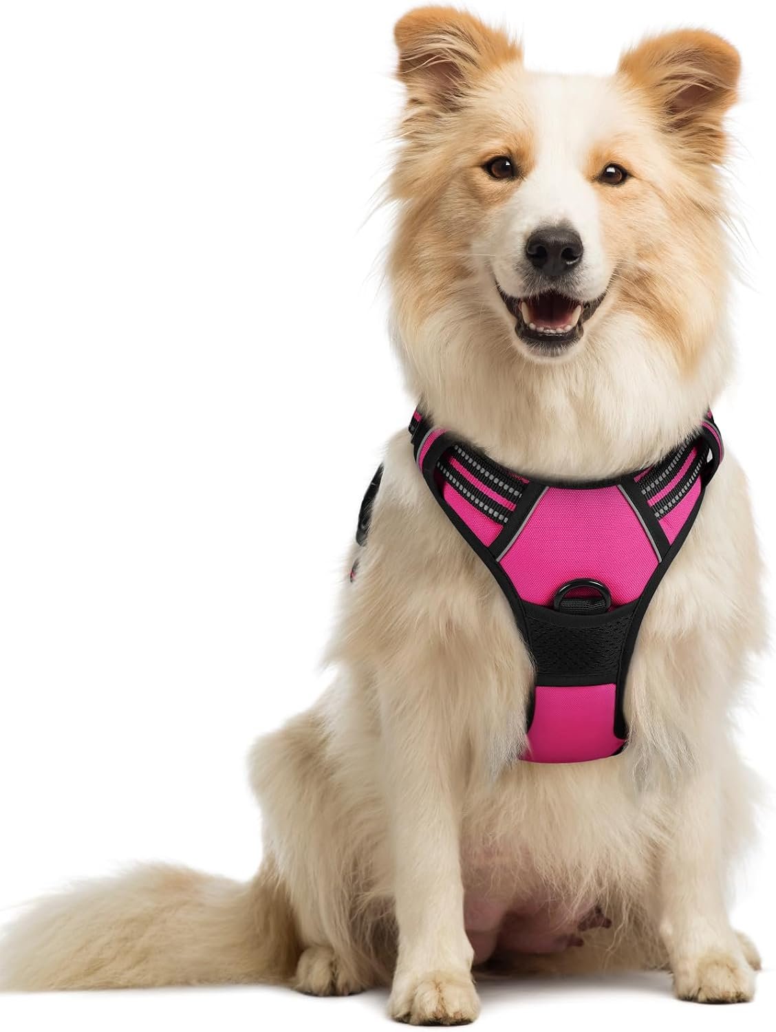 rabbitgoo Dog Harness, No Pull Medium Sized with 2 Leash Clips, Pet Vest