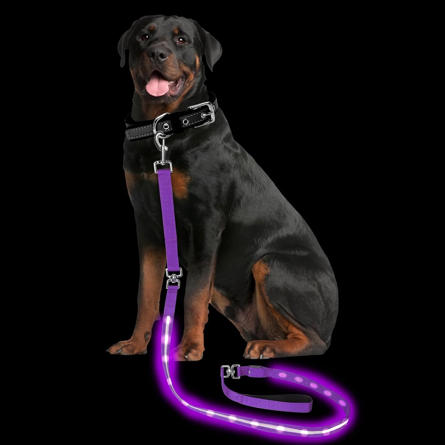 PetIsay Light up Dog Leash for Night Walking, USB Rechargeable, 6FT, Purple
