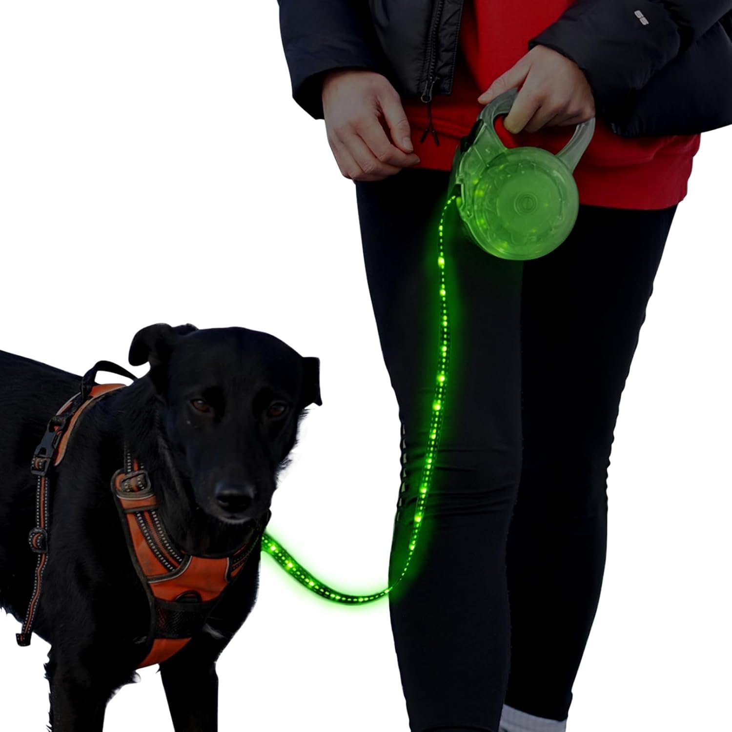 Luwint LED Dog Leash Retractable 8.8ft – Light Up Dog Leashes for Night Walking, USB Rechargeable Waterproof Lighted Leash with 3 Modes Green Light