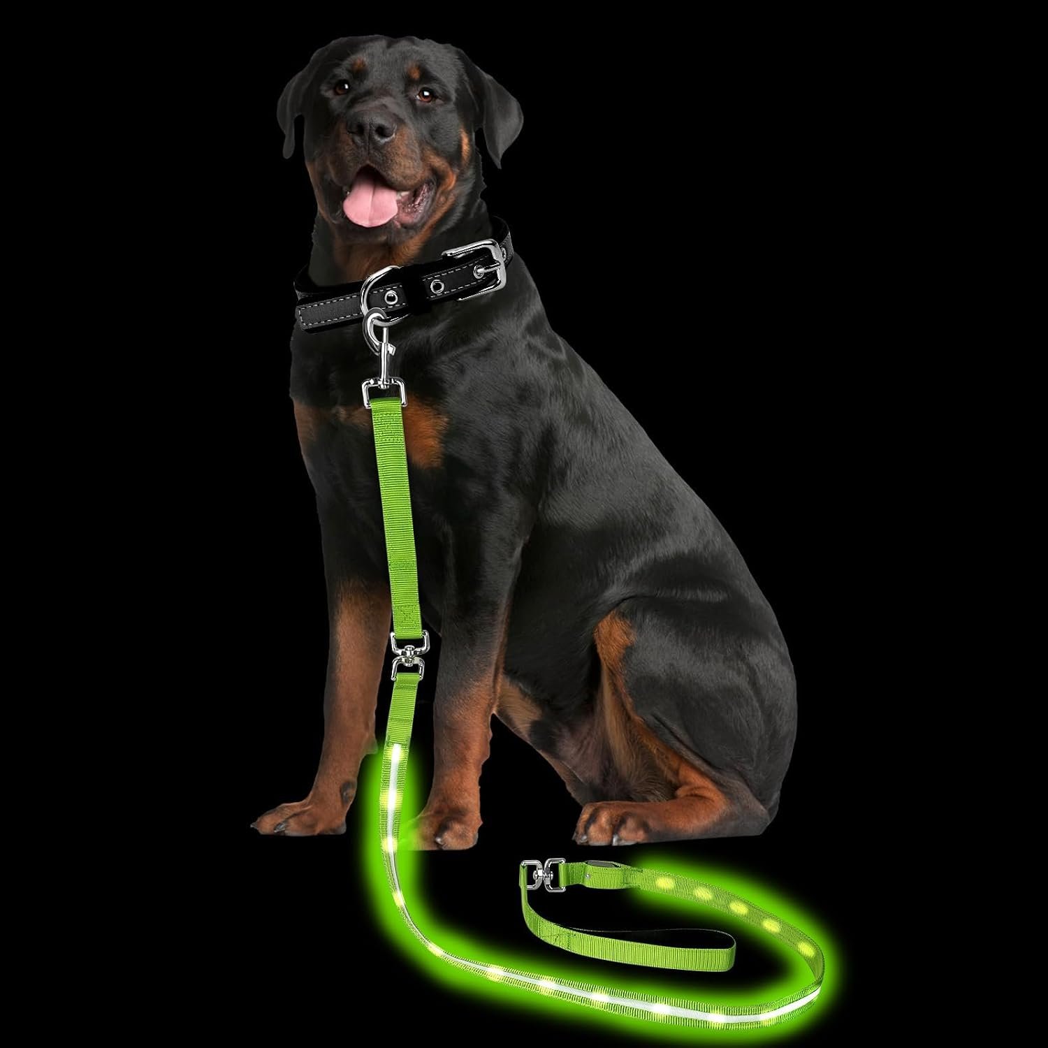 PetIsay Light up Dog Leash for Night Walking, USB Rechargeable, 6FT, Green