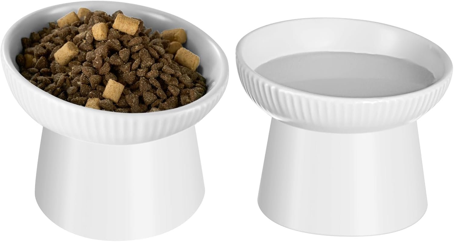 Ceramic Elevated Cat Bowls-Water Bowl, 15° Tilted Design, Anti-Vomiting & Spine Protection, Prevent Whisker Fatigue for Kittens to Adult Cats and Small Dogs (White-15° Cat Bowls-2)