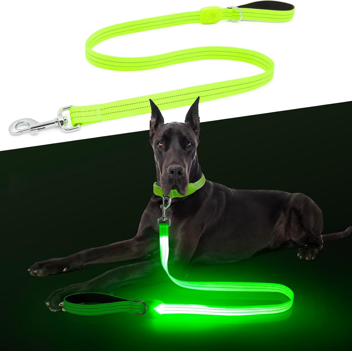 LED Dog Leash, Light Up Dog Leash 4 Ft Fully Illuminated USB Rechargeable Waterproof, Nylon Reflective Leashes with Padded Handle for Dogs Night Walking, Safety Glow in The Dark for Large Medium Pets
