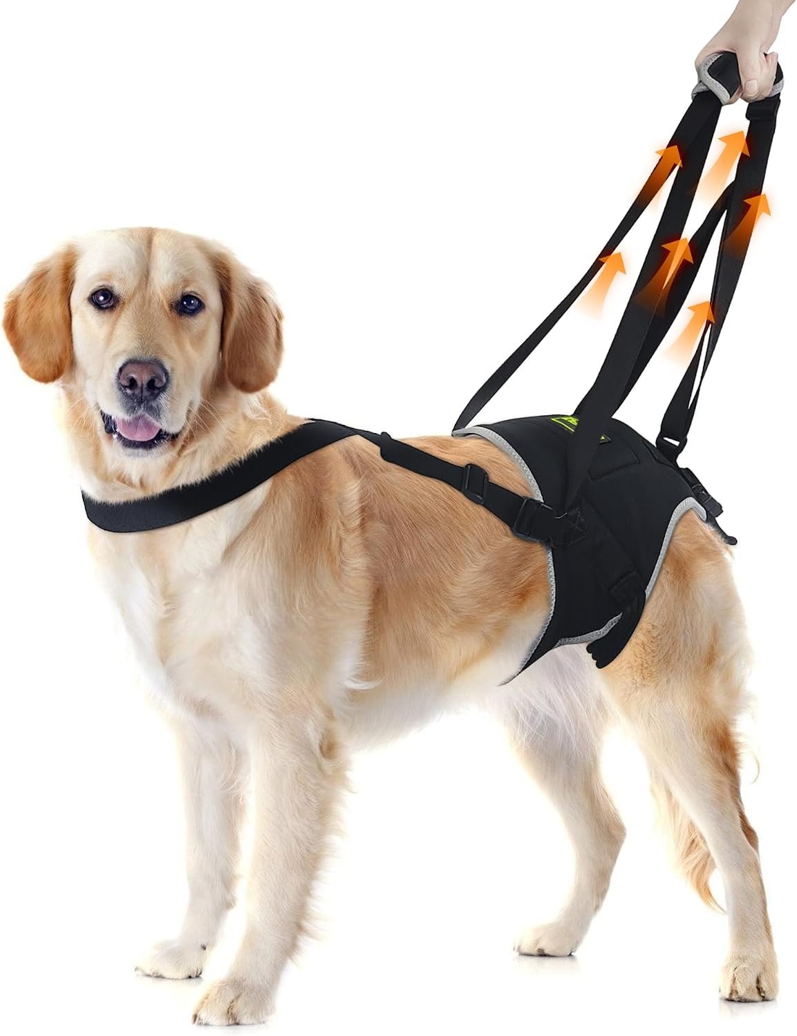 Dog Lift Harness for Large Senior Dogs, Back Leg Walking Aid