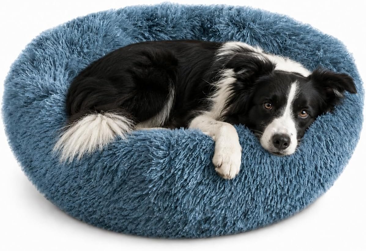 Whiskers & Friends Round Dog Beds for Medium Dogs, Orthopedic, Washable