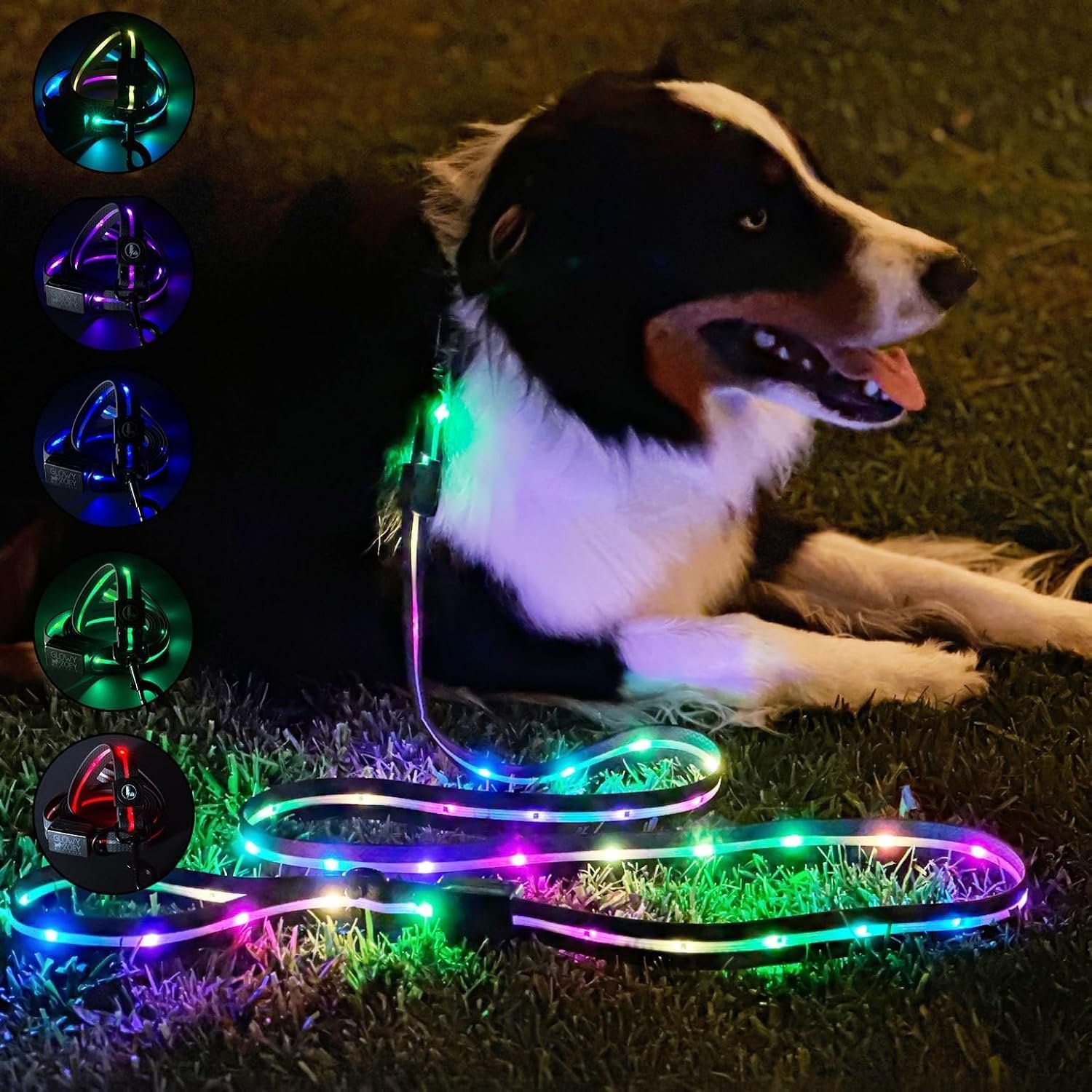 Luminoid LED Dog Leash | 6 ft | USB Rechargeable | 12 Multi-Color Animated Effects | Ultra-Bright LEDs Light-up Leash Keeps You & Dog Safe – by Glowy Zoey