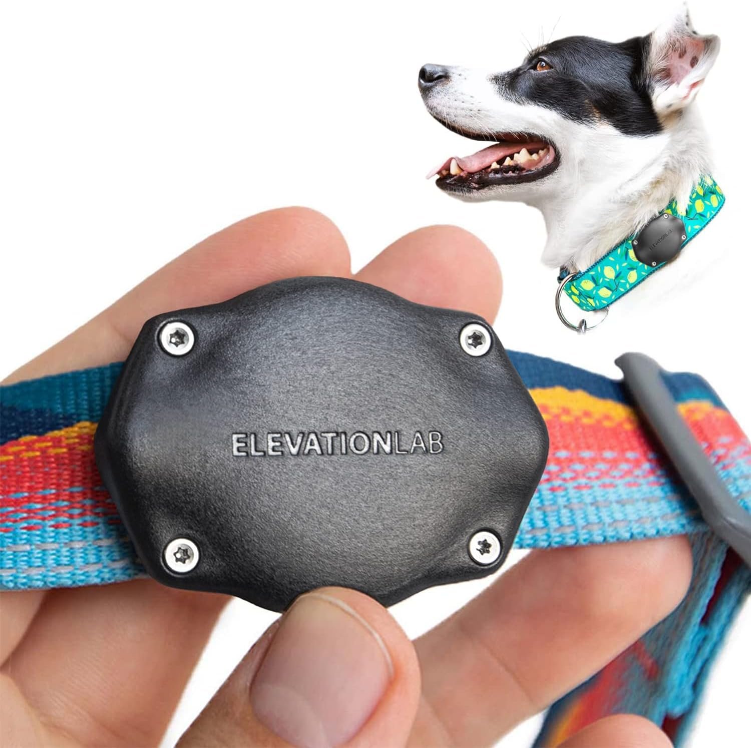 Elevation Lab AirTag Dog Collar Holder – Waterproof