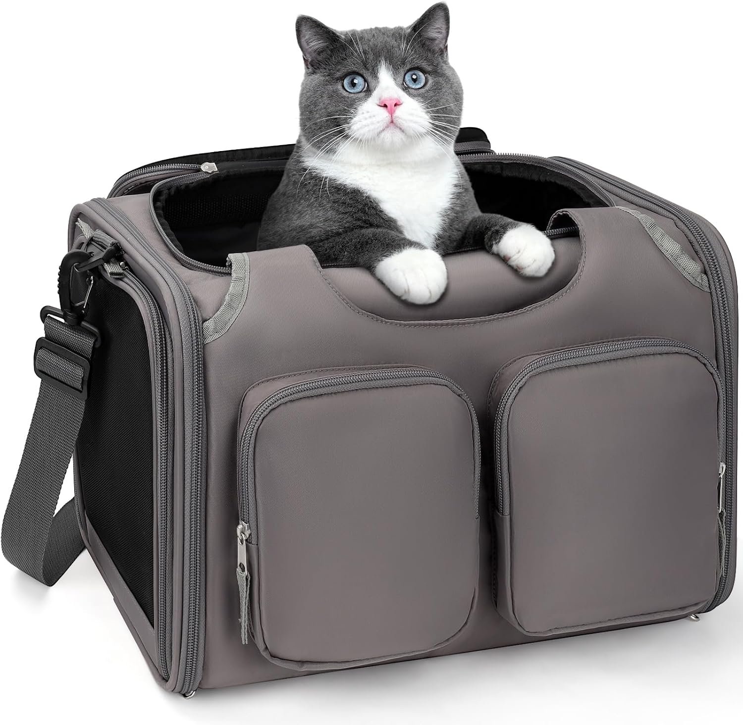 Dog Cat Carrier Airline Approved Collapsible Soft-Sided Pet Travel Bag