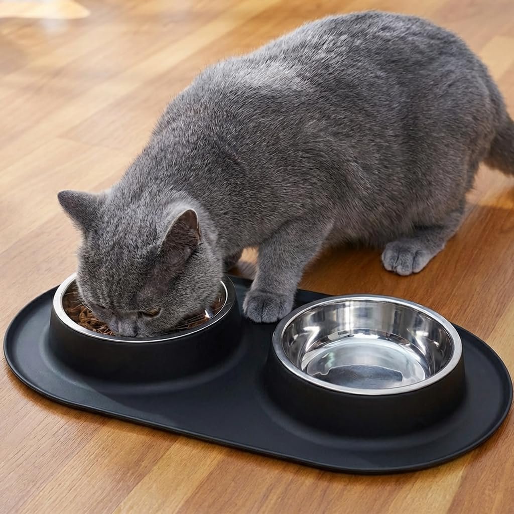 Double Stainless Steel Cat Food Bowls with Non-Slip Silicone Mat, Double Pet Feeder for Food & Water, Spill Proof Cat Dish Set for Small Medium Dogs & Cats, 1.5 Cups Each Bowl, Black Mediun