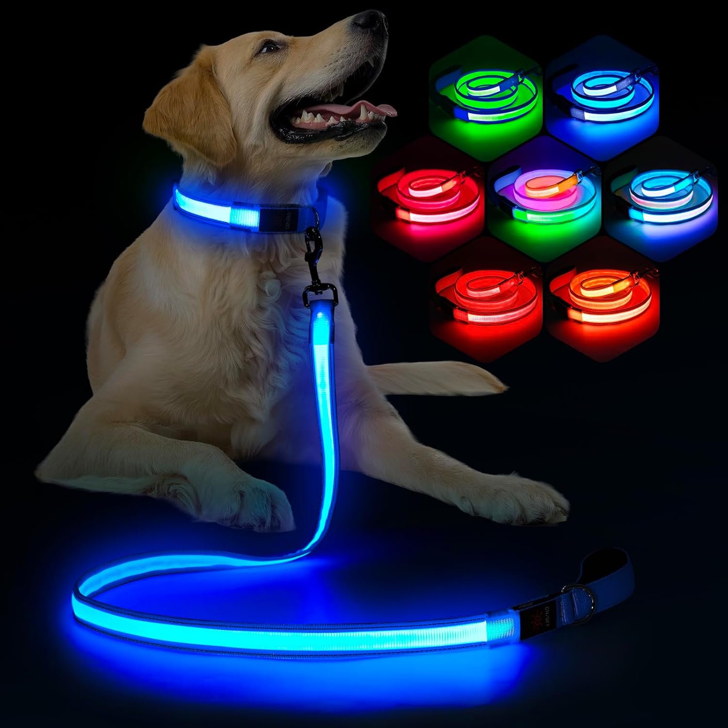 Light Up Dog Leash, USB-C Rechargeable LED Dog Leash, 13 Modes, 4 FT