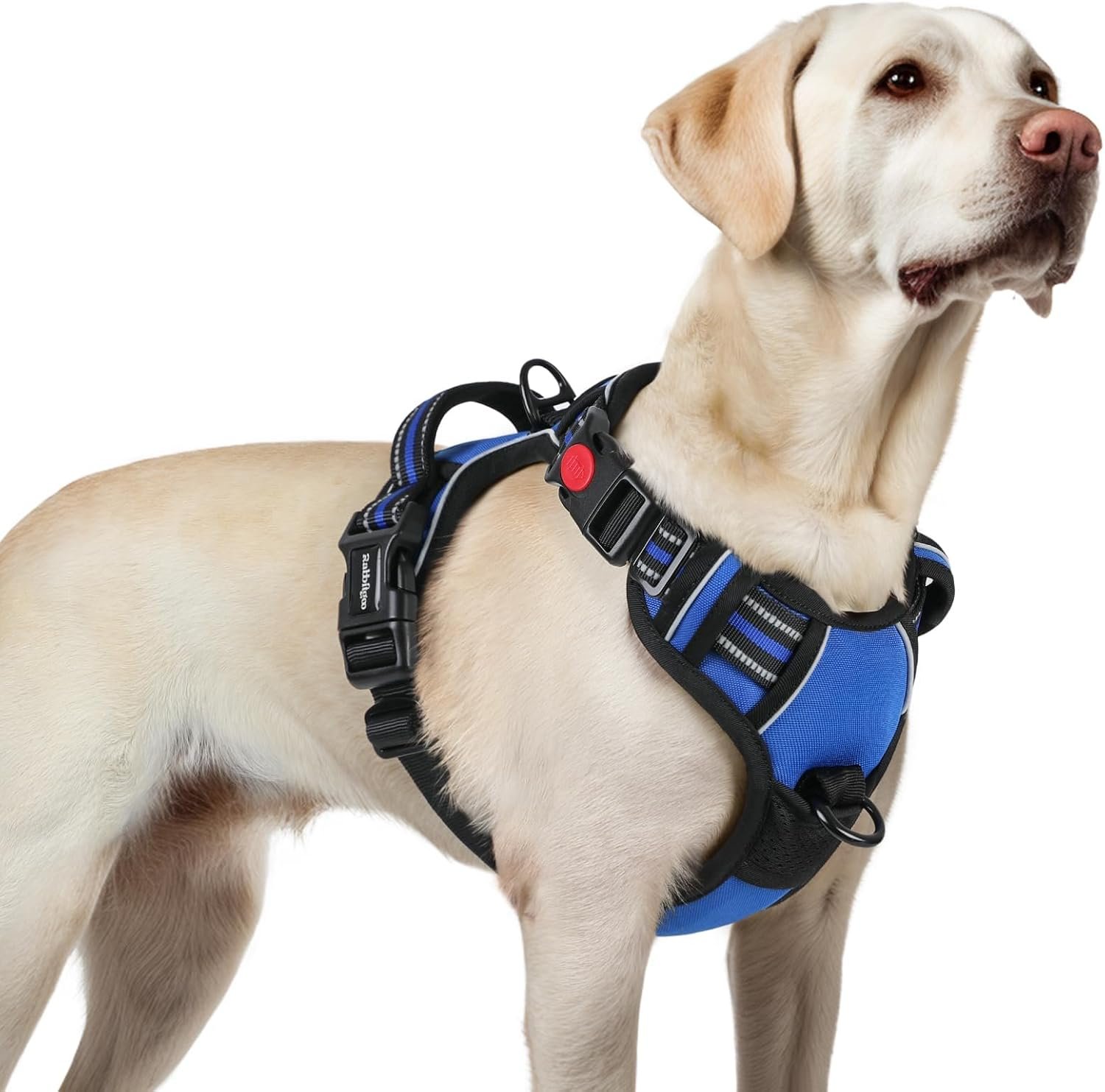 rabbitgoo Dog Harness for Large, Updated Easy On & Off with 3 Buckles