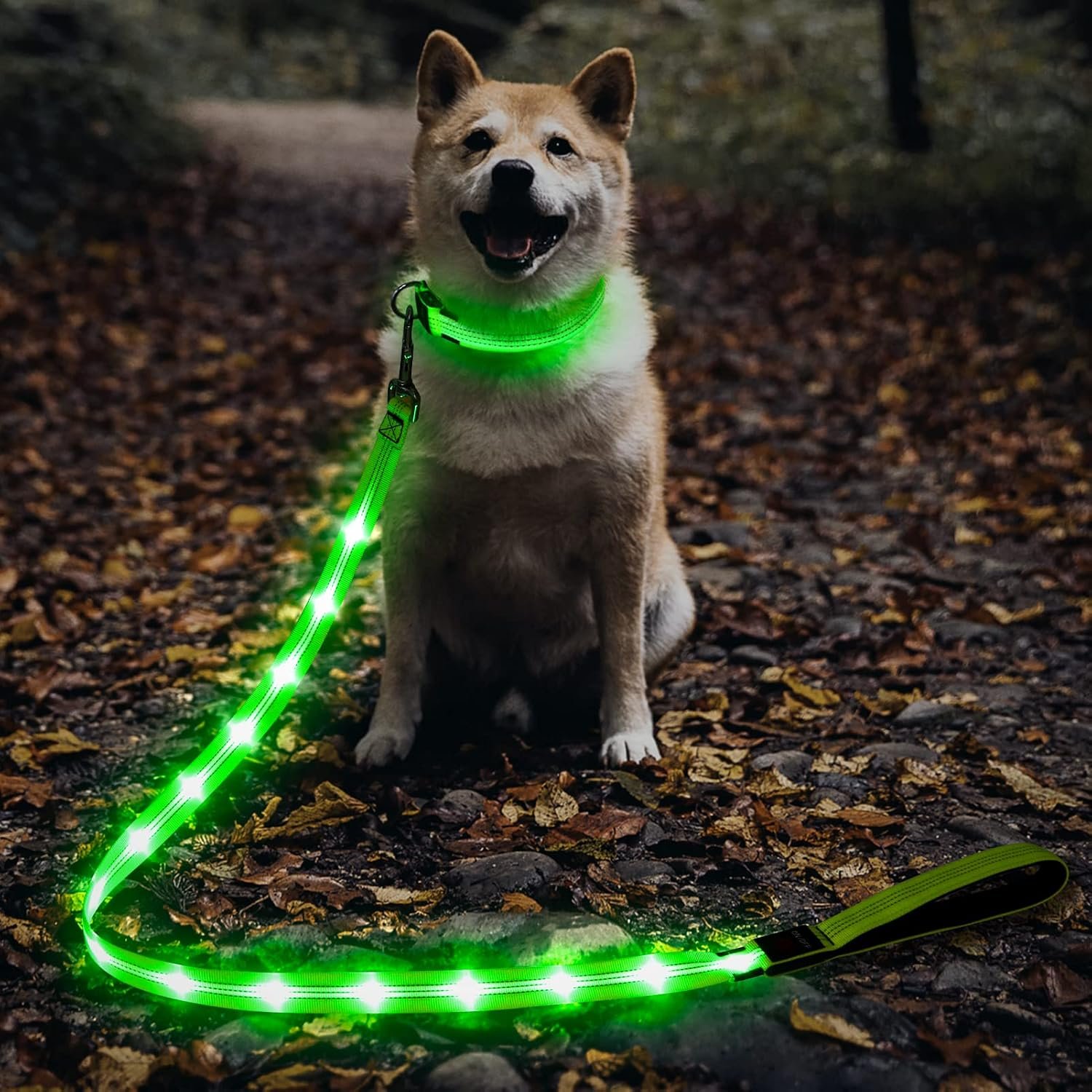 Illumifun LED Dog Leash, USB Rechargeable Glowing Light Up Dog Leash, Nylon Flashing Safety Pet Light for Night Walking (GreenⅡ)