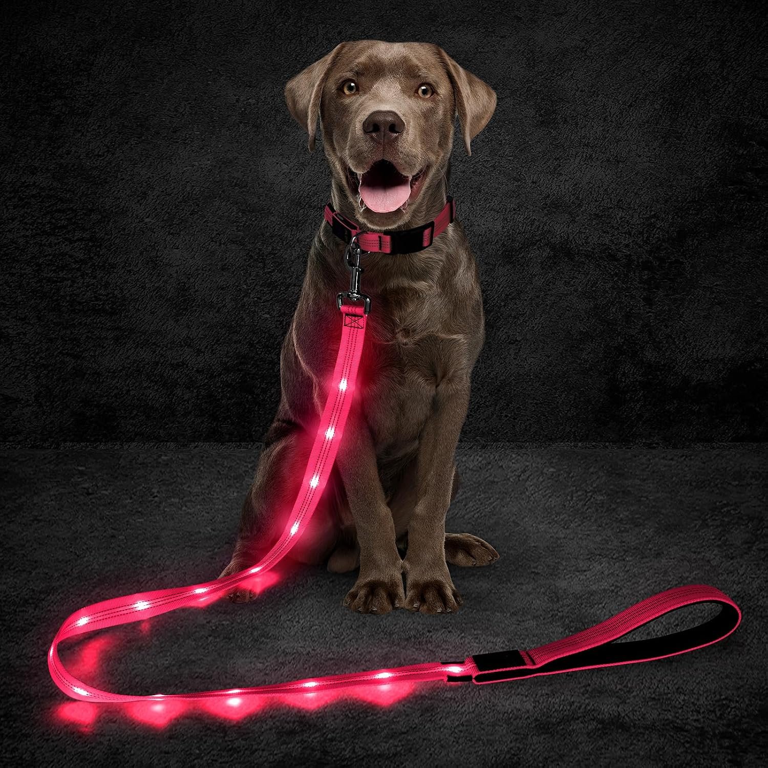 Light Up Dog Leash, 5 Ft LED Dog Lead Glowing Pet Leash with Soft Padded Handle, Safety Dog Lights for Night Walking (Pink)