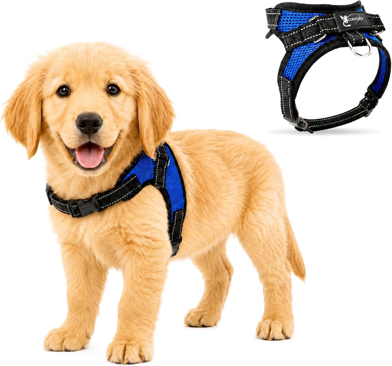 No Pull Reflective Adjustable Dog Harness With Handle- Comfortable Soft All Weather Mesh, Easy On Puppy Harness For Small Medium and Large Dogs (Blue) Small