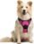 rabbitgoo Dog Harness, No Pull Medium Sized with 2 Leash Clips, Pet Vest