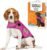 ThunderShirt for Dogs Calming Anxiety Vest, Medium, Fuchsia Sport