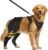 Dog Knee Braces for Back Leg, Dog ACL Brace for Hind Leg, CCL Tear Hinged Support, Luxating Patella Arthritis Pain Relief, Adjustable Harness Wrap Strap (XL)