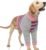 FUAMEY Dog Recovery Sleeve with Elbow Protector, Pink Stripes, L