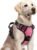 rabbitgoo Dog Harness for Large, No Pull 3 Buckles Easy On & Off