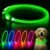 Flashseen LED Dog Collar, USB Rechargeable Glow Lighted up Collar, Green