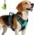 Joytale No Pull Dog Harness Medium Sized Dog, Front Clip, Teal