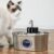 PawsPik Cordless Automatic Dog & Cat Water Fountain Stainless Steel, 3.2-L