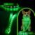 LED Dog Collar & Leash 5FT Set, USB-C Rechargeable Light Up Collar