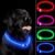 NOVKIN LED Dog Collar, Cut-to-Fit Light Up Dog Collar for Night Walking, IP67 Waterproof USB Rechargeable Glowing Pet Collar, High Visibility Super Bright Safety Lights for S/M/L Dogs(Blue)