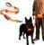 LED Dog Leash with Light Heavy Duty for Large Dogs Night Walking