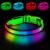 LED Dog Collar, Light Up Dog Collar,for Night Walking(Large,Green)