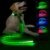 LED Dog Leash Ultra Bright, Waterproof, 7 Lighting Mode, Glow in The Dark & Reflective, Type-C Rechargeable, Battery Indicator, Carabiner Clip for Night Walking Safety, Small to Large Pets