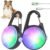 Clip-On Dog Collar Light for Night Walking, 4 Modes, Rechargeable, 2 Pack