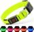 Illumifun Light Up Dog Collar, USB Rechargeable LED Dog Collar Glow in the Dark，Adjustable Pet Safety Lights for Night Walking (Green, Medium)