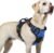 rabbitgoo Dog Harness for Large, Updated Easy On & Off with 3 Buckles