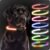 PAJ Light LED Dog Collar for Medium & Large Dogs