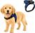 No Pull Reflective Adjustable Dog Harness With Handle- Comfortable Soft All Weather Mesh, Easy On Puppy Harness For Small Medium and Large Dogs (Blue) Small