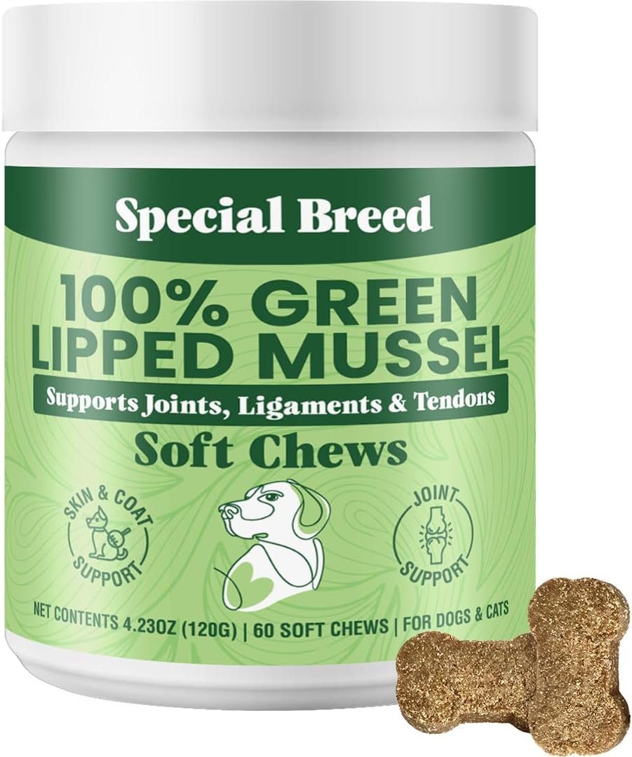 Green Lipped Mussel for Dogs & Cats – 60 Soft Chews – New Zealand Green Lipped Mussels