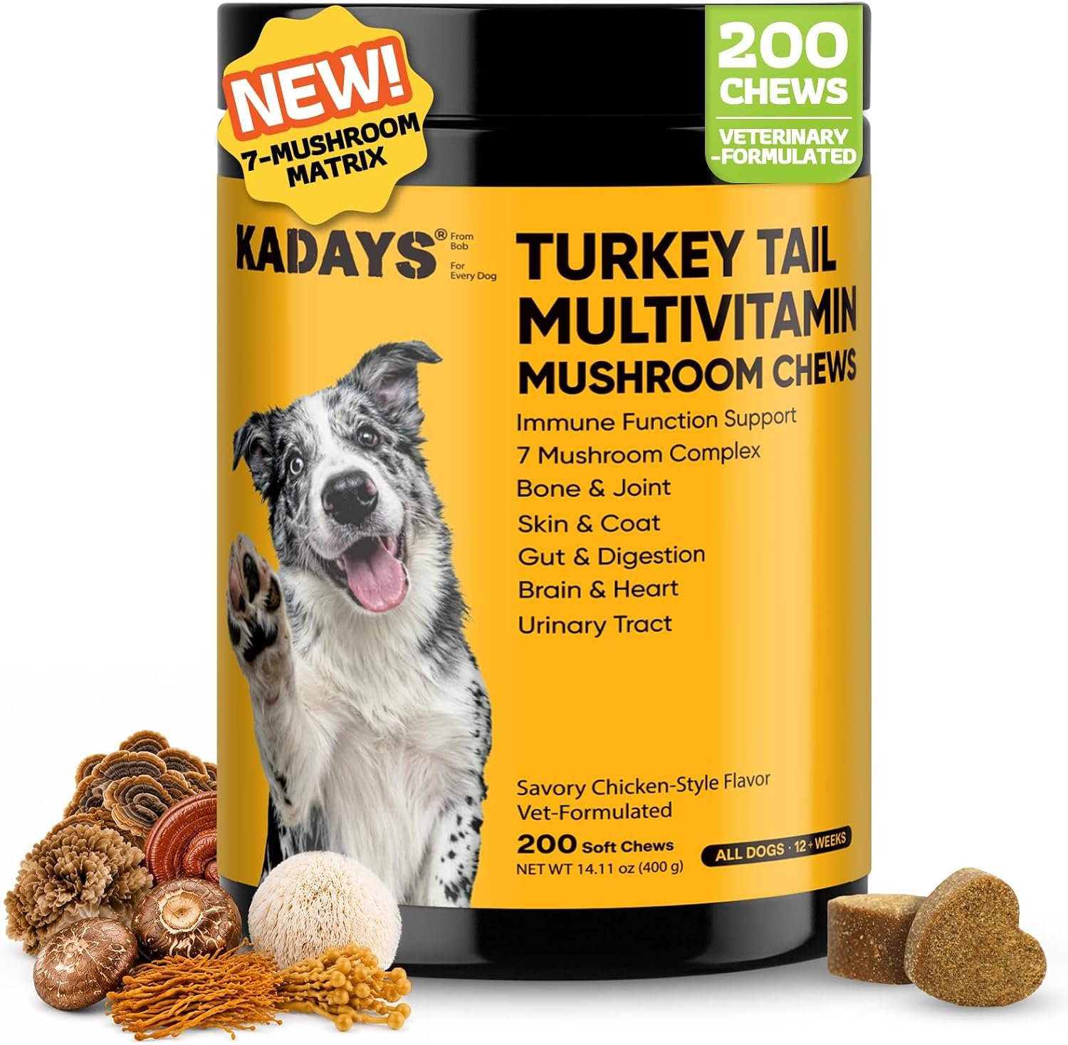 Turkey Tail Mushroom for Dogs 200 Count – Dog Multivitamin & Mushroom Chews