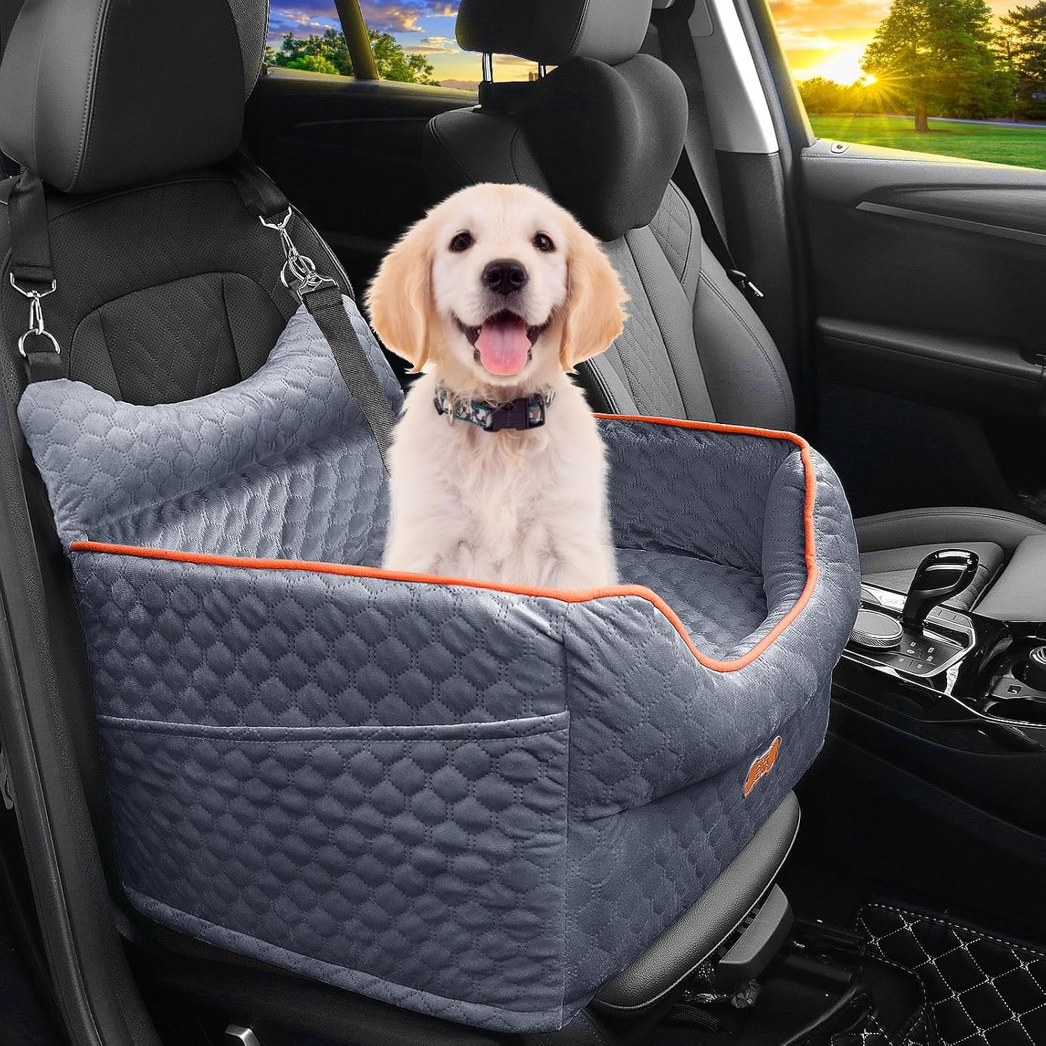 Dog Car Seat for Small Dogs Up to 25 lbs with 6-Inch Memory Foam Cushion