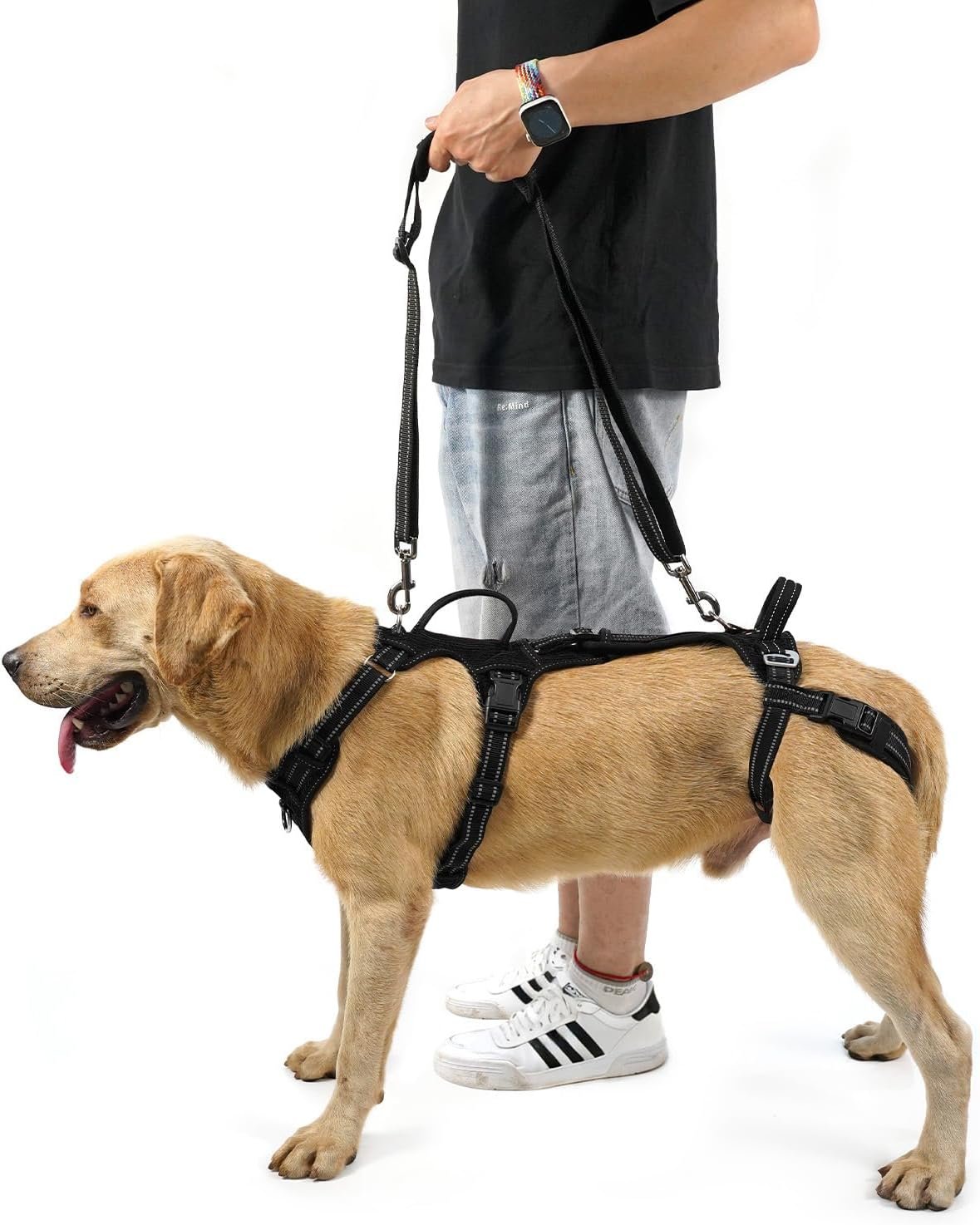 COODEO Mobility Dog Lift Harness, Support Sling & Walking Sling for Dogs, Pet Rear Leg Rehabilitation Support Vest, Dog Carrier for Senior Dogs with Joint Injuries, Arthritis, Up Stair (Black, M)