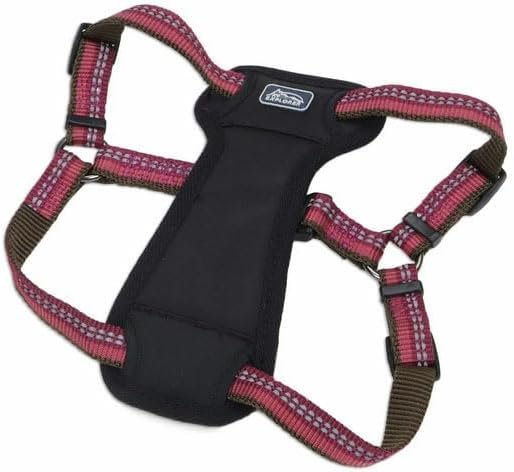 Coastal Pet K9 Explorer Reflective Adjustable Padded Dog Harness – Plush Chest Pad for Comfort – No-Pull Dog Harness for Small and Large Dogs – Berry – 5/8″ x 12″-18″, X-Small