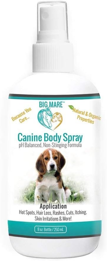 Big Mare Dog Spray | Effective On Hotspots, Yeast, Dermatitis, Staph, Ringworm, Hair Loss, & More. Antibacterial & Antifungal | Vet Approved & Recommended. (8 oz)