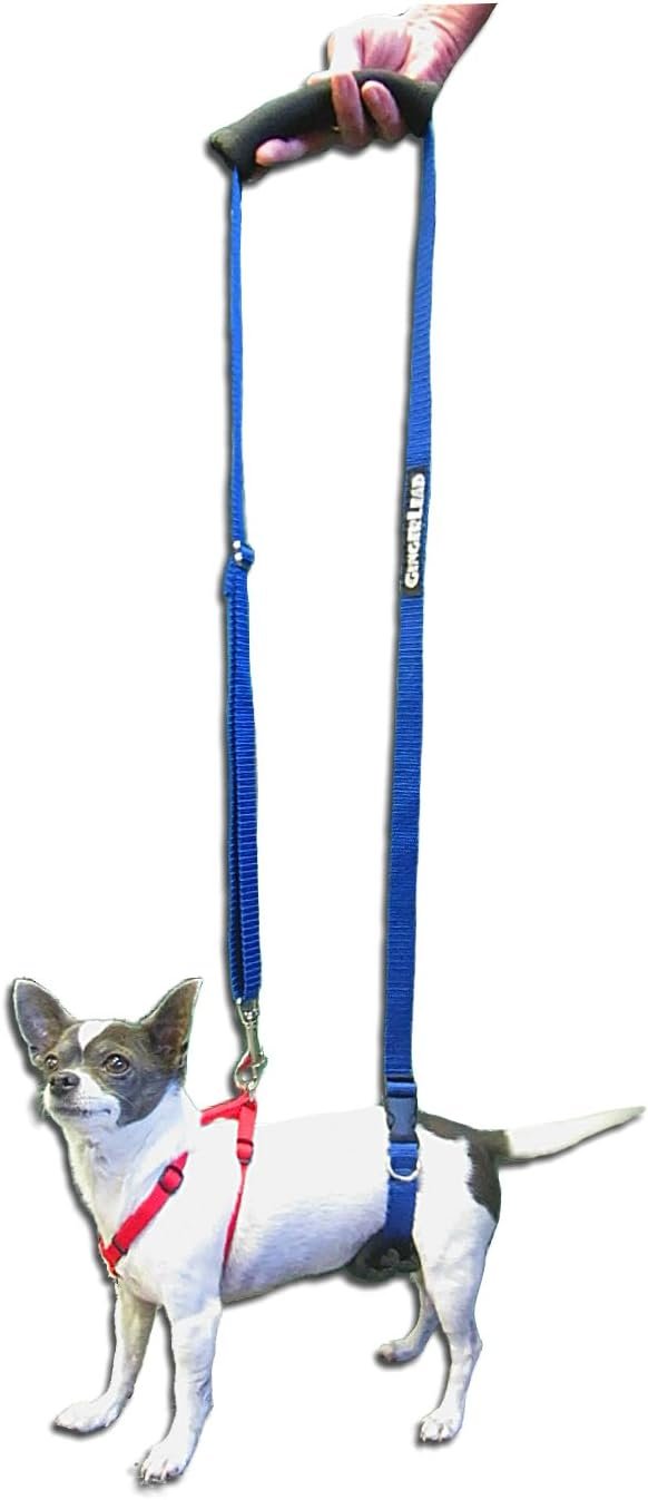 GingerLead® Dog Back Support IVDD Sling Harness, X-Small & Male Dachshunds