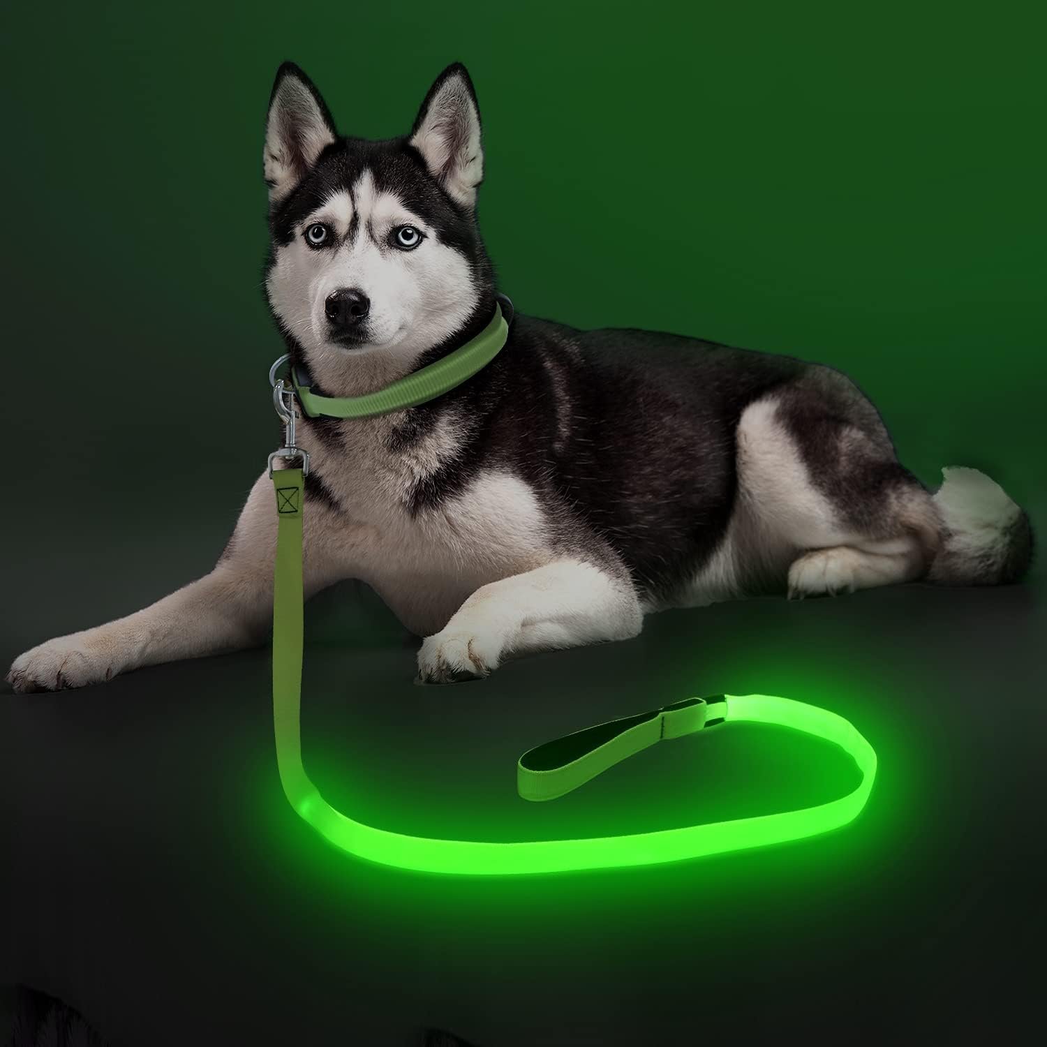 Colaseeme LED Light Up Dog Leash, USB Rechargeable (4FT,Green)