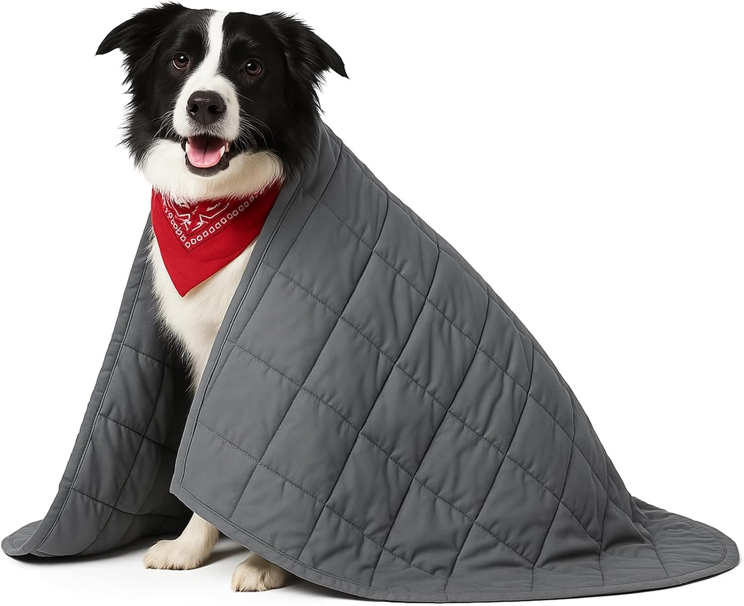 Geiserailie 36″ x 48″ Weighted Blanket for Dogs Pets, Weighted Dog Blanket Soft Washable Calming Blankets for Medium Large Dogs with Anxiety Use in Car, Bed Couch Gift for Dog Owners Lovers