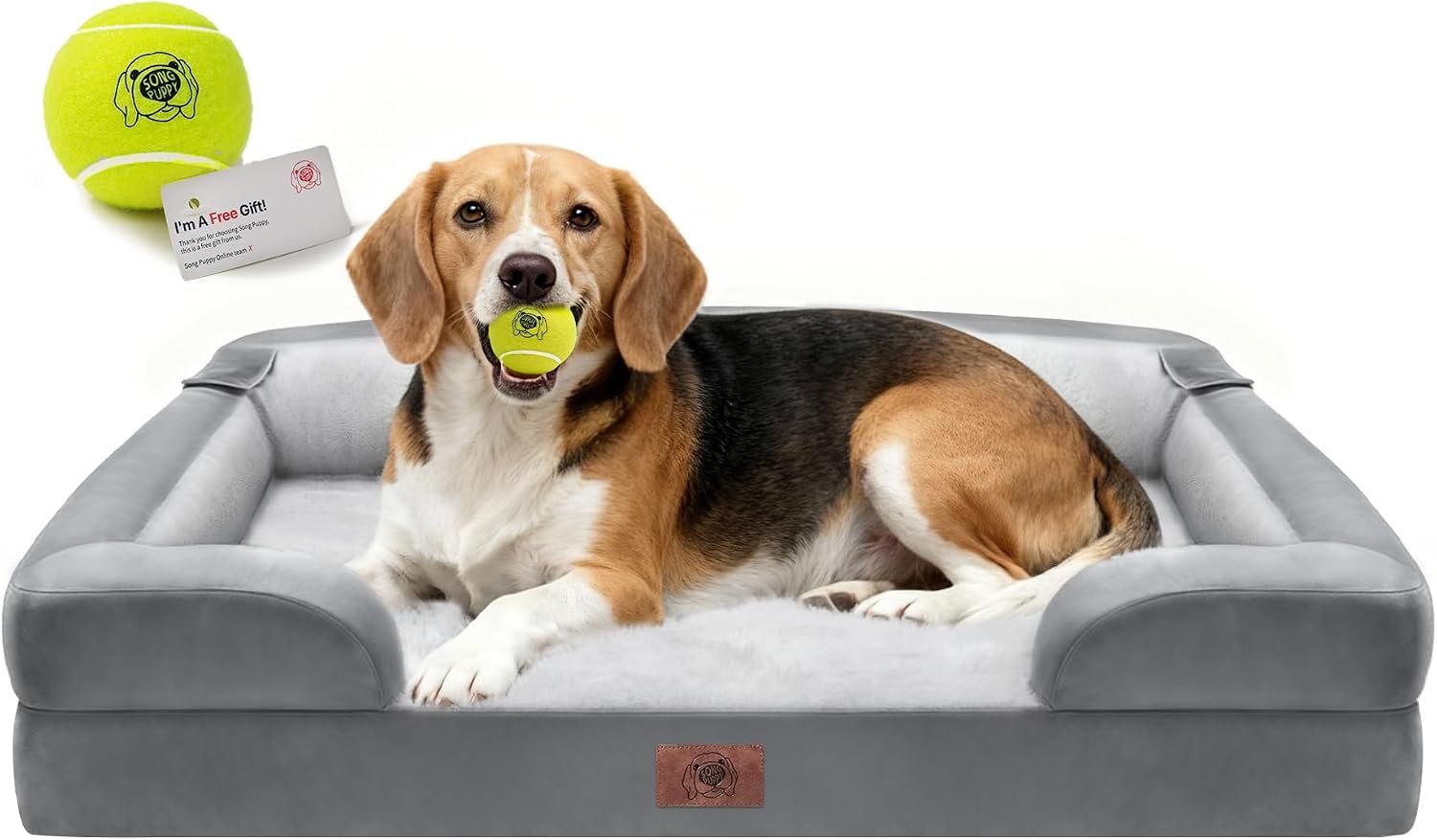 Waterproof Orthopedic Dog Bed for Medium Large Sized Dogs