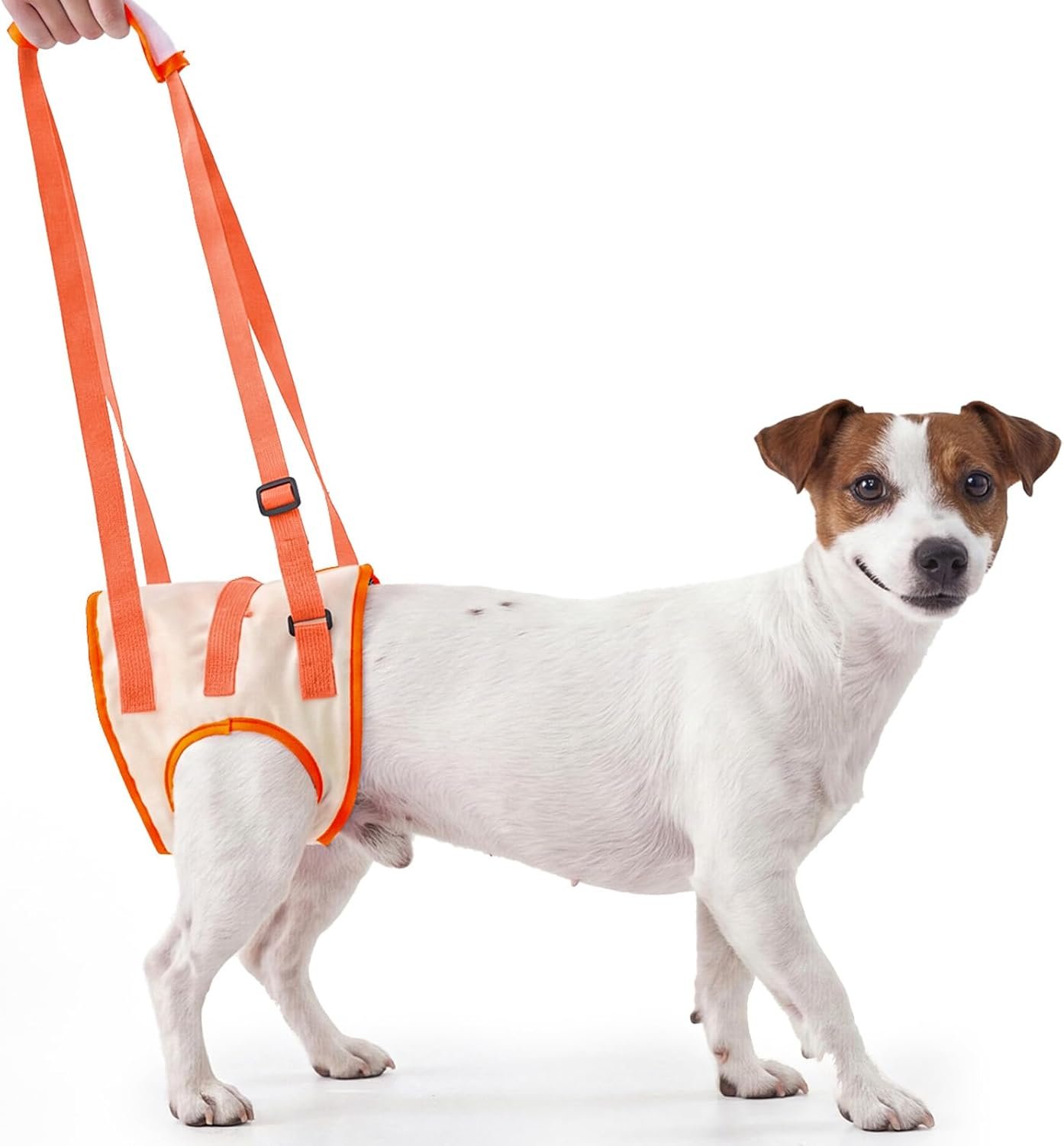 Allroaring Dog Lift Harness with Soft Pads, Orange, M