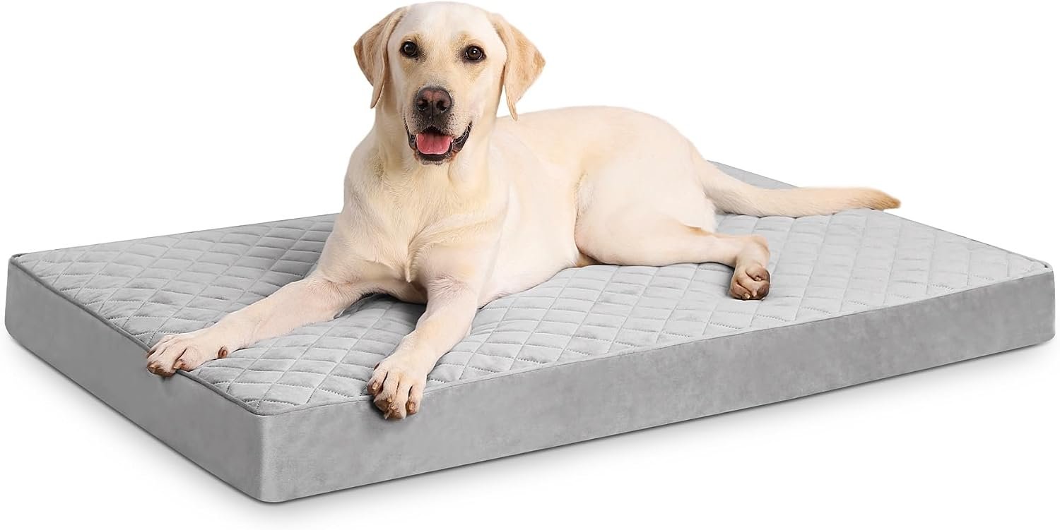 NUPIDA Orthopedic XL Dog Beds Large Sized with Washable Cover, 41×27, Grey