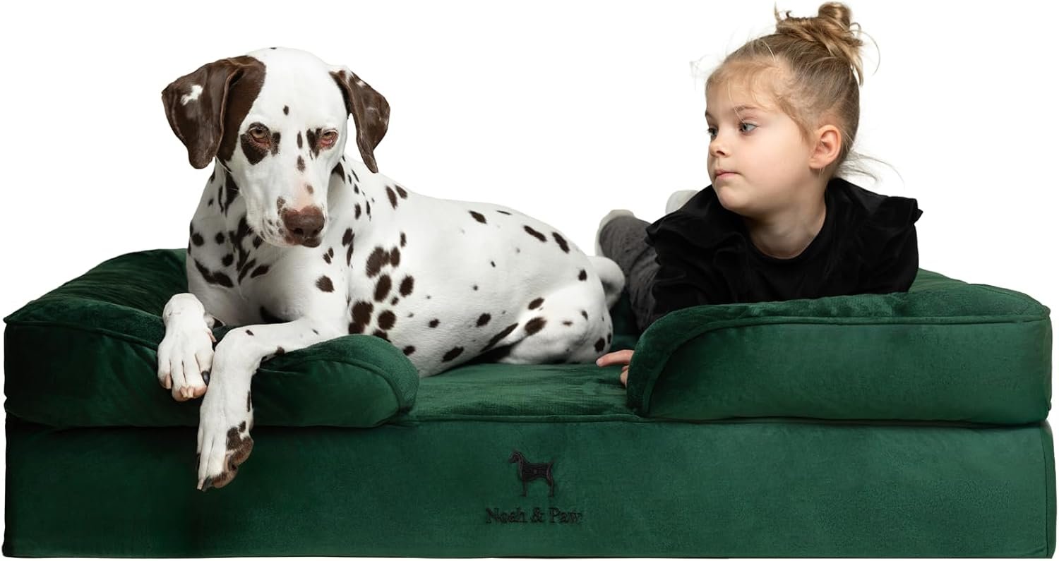 NOAH & PAW XL Dog Bed, 45x35x11 Inch, Orthopedic Large Dog Beds, Eggshell Memory Foam Infused with Cooling Gel, Inner Cover, Water Resistant, Machine Washable