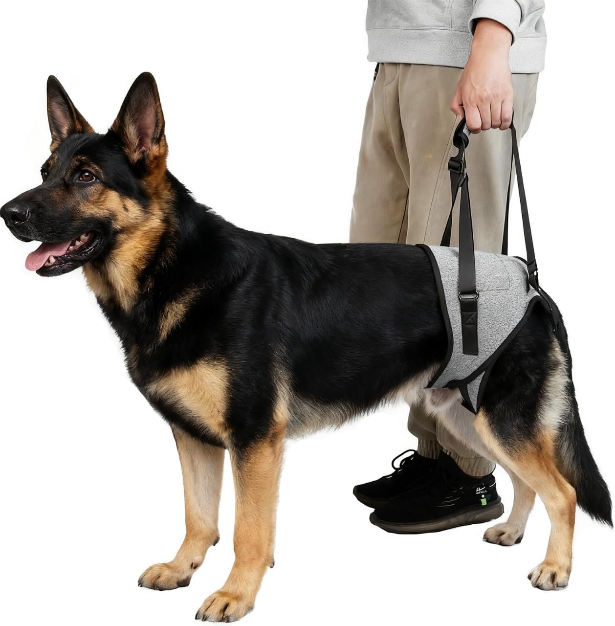 Dog Lift Harness for Dogs, Support Harness for Back Legs, Adjustable Rear Support Harness Grey X-Large